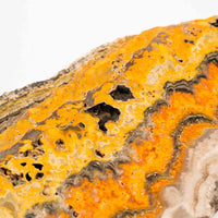 Jasper, Bumble Bee - Slab, Large