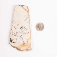 Slaty Shale Record - Earth Love Gallery Collection