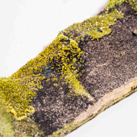 Pyromorphite - Large