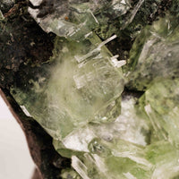 Apophyllite, Green - Cluster