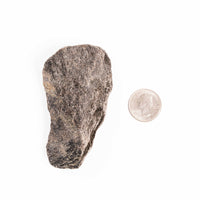 Alexandrite - Earth Love Gallery Collection