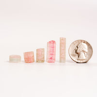 Watermelon Tourmaline - Intuitive Picks