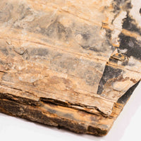 Slaty Shale Record - Earth Love Gallery Collection