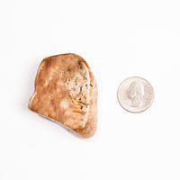 Biggs Jasper - Earth Love Gallery Collection