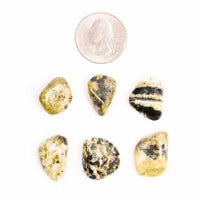 Serpentine, Deep Green & Black - Tumbled Stone(s)