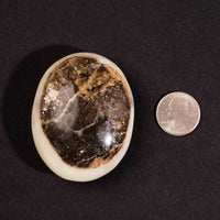 Pink Opal - Palm, Polished