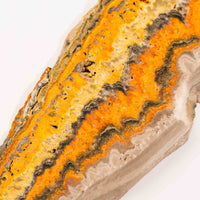 Bumble Bee Jasper - Slab, Large