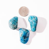 Apatite, Blue - Tumbled Stones