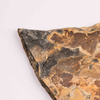 Slaty Shale Record - Earth Love Gallery Collection