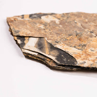 Slaty Shale Record - Earth Love Gallery Collection