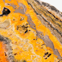 Bumble Bee Jasper - Slab, Large