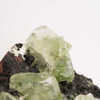 Apophyllite, Green - Cluster
