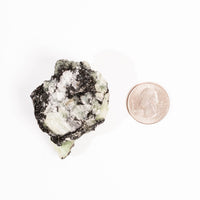 Prehnite w/ Black Quartz - Rough