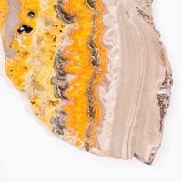 Bumble Bee Jasper - Slab, Large