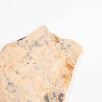 Slaty Shale Record - Earth Love Gallery Collection