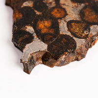 Sericho Pallasite Meteorite