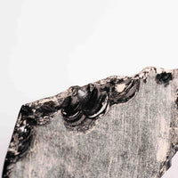 Obsidian, Rainbow - Earth Love Gallery