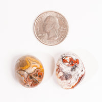 Agate - Botswana, Darker, Tumbled Stone(s)