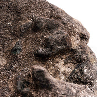 Alexandrite in Mica Schist - Earth Love Gallery Collection