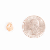 Lunar Meteorite - Bechar 007