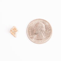 Lunar Meteorite - Bechar 007