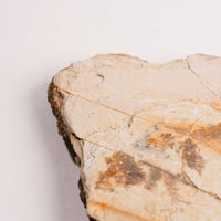 Slaty Shale Record - Earth Love Gallery Collection