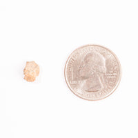 Lunar Meteorite - Bechar 007