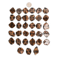 Chiastolite (Andalusite Cross)