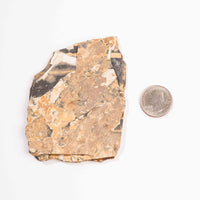 Slaty Shale Record - Earth Love Gallery Collection