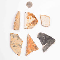 Slaty Shale Record, Intuitive Picks - Earth Love Gallery Collection