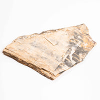 Slaty Shale Record - Earth Love Gallery Collection