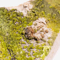 Pyromorphite