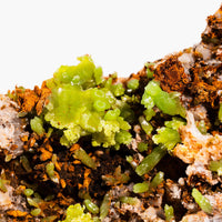 Pyromorphite - Large
