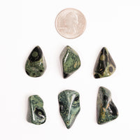Jasper, Kambaba - Tumbled Stone(s)