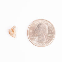 Lunar Meteorite - Bechar 007