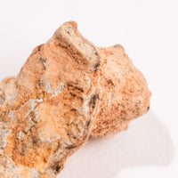 Lunar Meteorite - Bechar 007