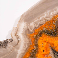 Bumble Bee Jasper - Slab, Large