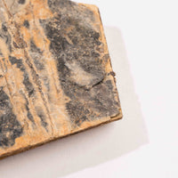 Slaty Shale Record - Earth Love Gallery Collection