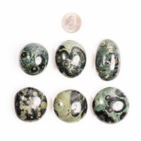Jasper, Kambaba - Palm Stone(s)