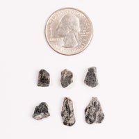 Alexandrite - Terminated Pieces - Intuitive Pick - Earth Love Gallery Collection