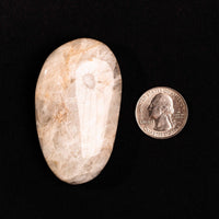 Natrolite - Polished