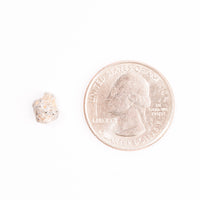 Lunar Meteorite - Bechar 007