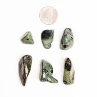 Jasper, Kambaba - Tumbled Stone(s)