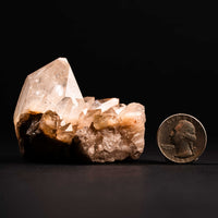 Quartz, Phantom Faden - Earth Love Gallery Collection