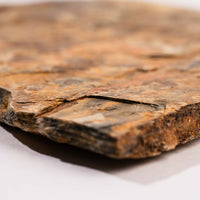 Slaty Shale Record - Earth Love Gallery Collection