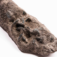 Alexandrite in Mica Schist - Earth Love Gallery Collection