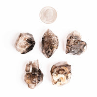 Smoky Elestial Quartz – Dark Multi-Faceted Cluster(s)