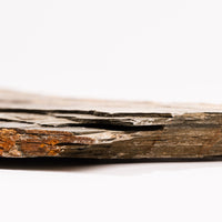 Slaty Shale Record - Earth Love Gallery Collection