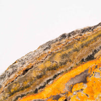 Bumble Bee Jasper - Slab, Large