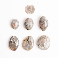 Labradorite, Orange/Yellow Flash - Palms